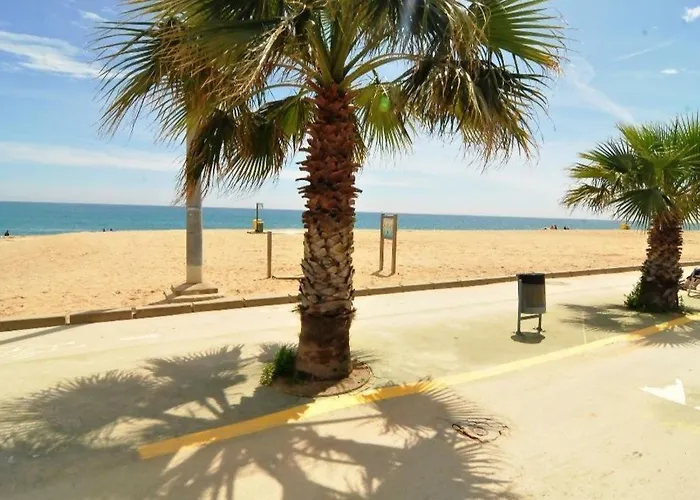 Pineda * Pineda De Mar